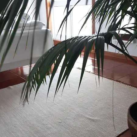 Sun &