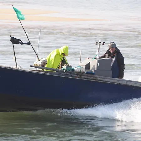 Bed and Breakfast Sun &