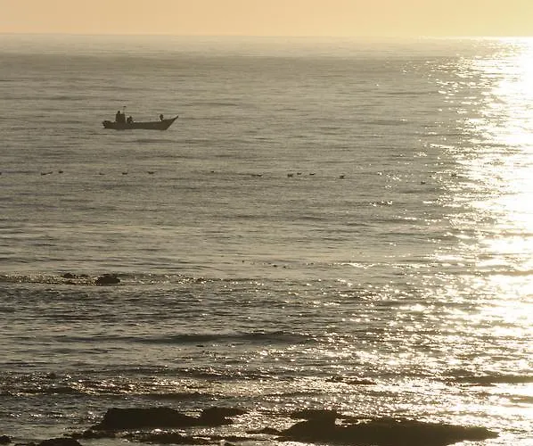 Bed and Breakfast Sun &